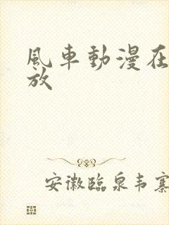 风车动漫在线播放