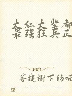 大红大紫都市之最强狂兵正版小说