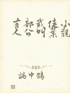 有部武侠小说主人公叫叶观的小说