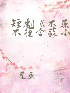 短剧《不原谅,不复合苏小姐独美》