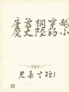 唐舞桐穿越到圣魔大陆的小说