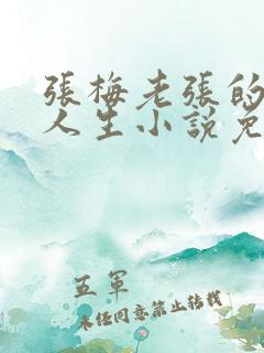 张梅老张的风流人生小说免费阅读