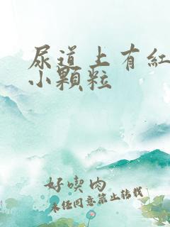 尿道上有红色的小颗粒