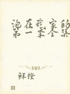 泡在我家的辣妹第一季全集动漫免费观看