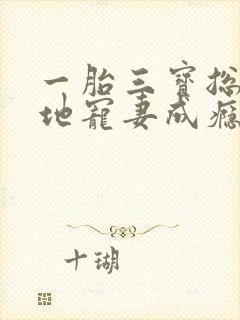 一胎三宝总裁爹地宠妻成瘾