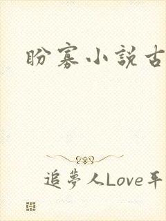 盼寡小说古言