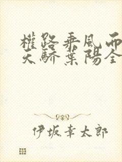 权路乘风而起化天骄叶阳全文小说