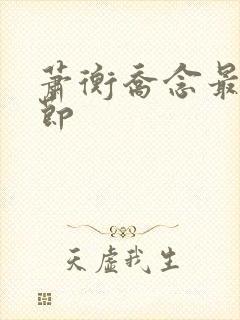 萧衡乔念最新章节