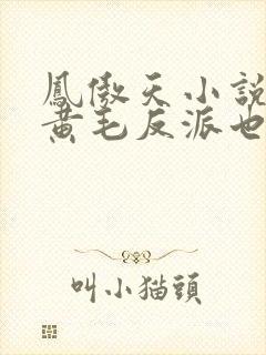 凤傲天小说里的黄毛反派也想幸福》