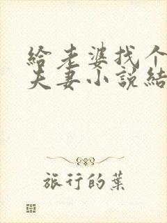 给老婆找个年轻夫妻小说结局免费阅读