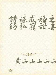 错嫁成婚之总裁的私宠甜妻 小说