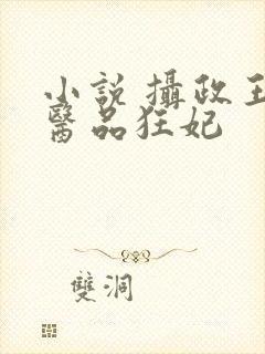 小说 摄政王的医品狂妃