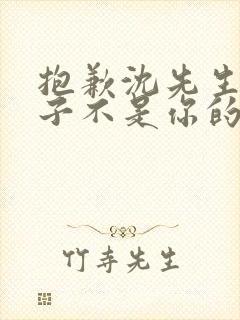 抱歉沈先生,孩子不是你的短剧完整选集