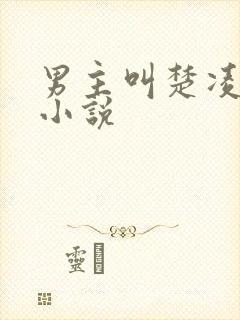 男主叫楚凌云的小说