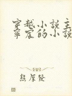 穿越小说主角叫宁宸的小说