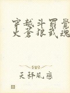 穿越斗罗觉醒烈火苍狼武魂的小说