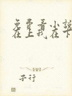 免费看小说总裁在上我在下