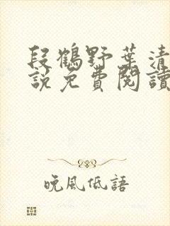 段鹤野叶清璃小说免费阅读最新章节