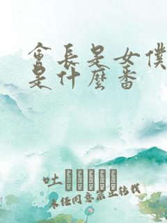 会长是女仆大人是什么番