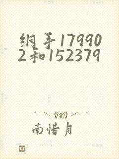 纲手179902和152379