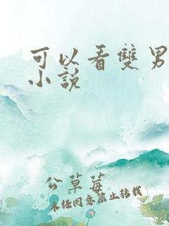 可以看双男主的小说