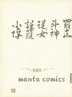 小说从斗罗开始俘获女神正版