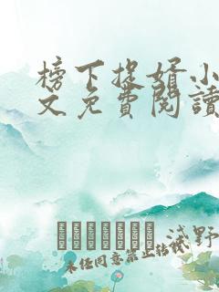 榜下捉婿小说全文免费阅读