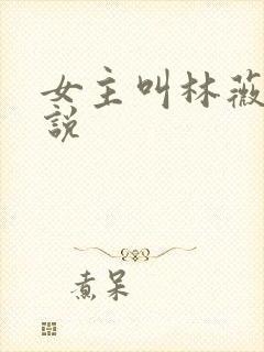 女主叫林薇的小说