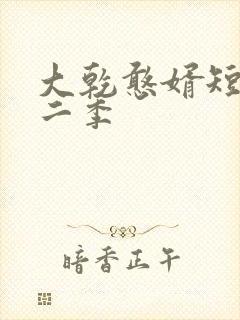 大乾憨婿短剧第二季