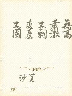 又爽又黄无遮挡国产刺激高潮