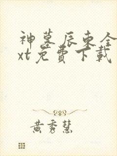 神墓辰东全本txt免费下载