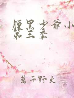 腹黑少爷小甜妻第三季