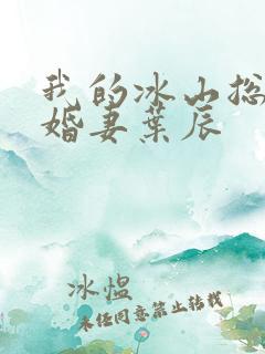 我的冰山总裁未婚妻叶辰