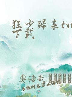 狂少归来txt下载