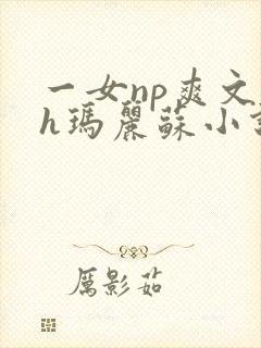 一女np爽文高h玛丽苏小说