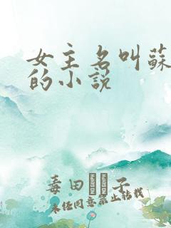 女主名叫苏软软的小说