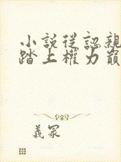 小说从认亲开始踏上权力巅峰彭远征正版