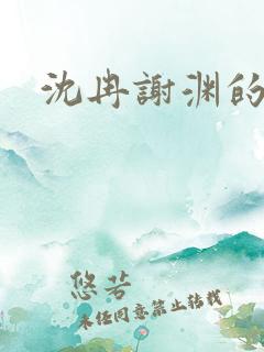 沈冉谢渊的小说