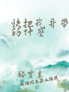 快把我哥带走讲的什么