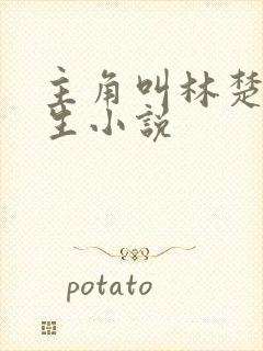 主角叫林楚的重生小说