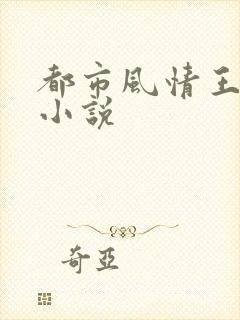 都市风情王枫的小说