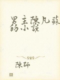 男主陈凡苏若初的小说