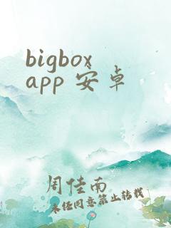 bigbox app 安卓