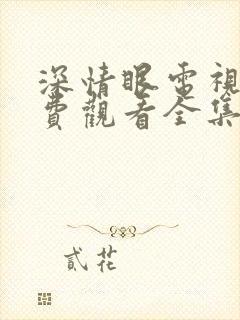 深情眼电视剧免费观看全集高清番外