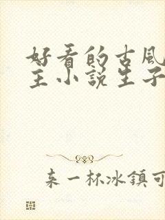 好看的古风双男主小说生子