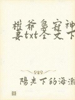 权爷枭宠神秘娇妻txt全文下载