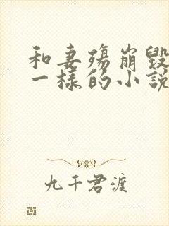 和妻殇崩毁人生一样的小说