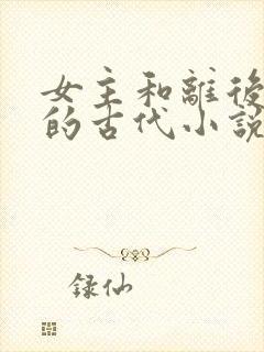 女主和离后二嫁的古代小说