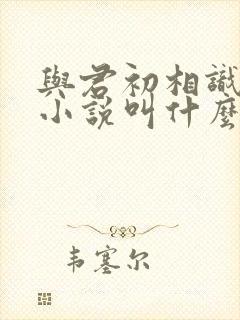 与君初相识原著小说叫什么