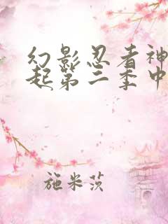 幻影忍者神龙崛起第二季中文版